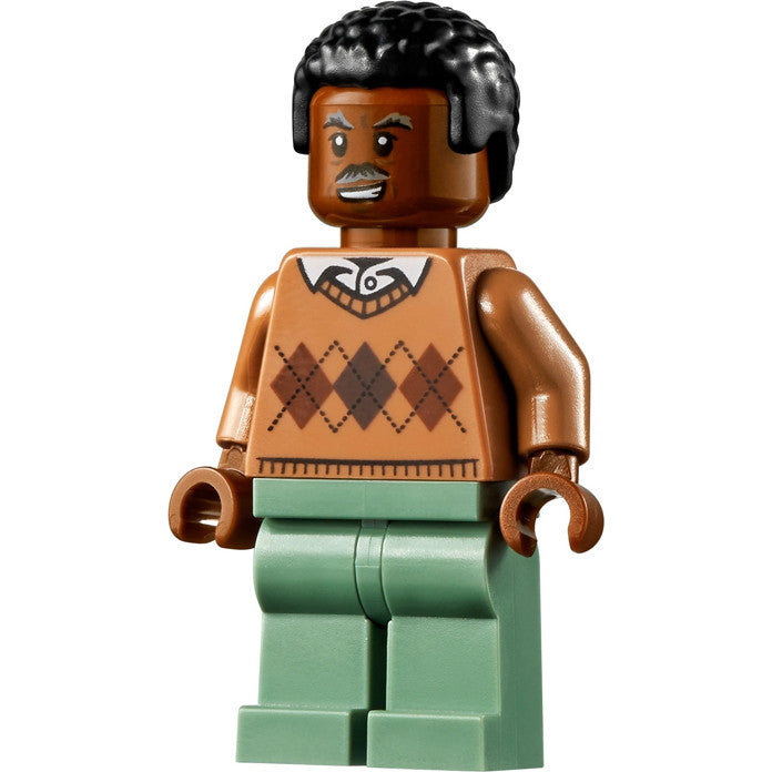 Minifig sh0716 - Robbie Robertson