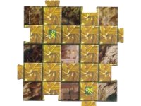 LEGO part Orient Expedition Gameboard Square - China  8 4189445pb08