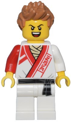 LEGO onderdeel njo799 (njo799)