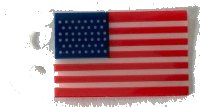 LEGO onderdeel Plastic Part voor Set 10294 - Flag with United States Circa 1912 Pattern 10294pls01c