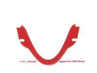 LEGO part Plastic Windscreen with Red Border 67144