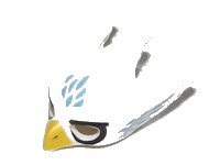 LEGO part Minifigure, Headgear Mask Bird / Eagle with Yellow Beak, Medium Blue Feathers and Black Eye Circles Pattern 12549pb03