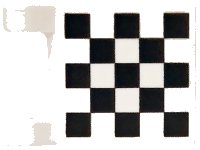 LEGO part Drapeau 2 x 2 Carré avec Motif Damier (Imprimé) 2335p03