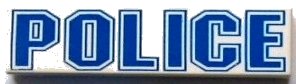 LEGO part Tile 1 x 4 with 'POLICE' Blue Outline Pattern (2431px14)