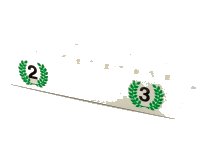 LEGO part Brick 2 x 6 with Numbers 2 and 3 in Green Laurels Pattern 2456px1