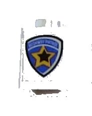 LEGO part Brick 1 x 1 with Highway Patrol Logo Pattern (Sticker) - Sets 6111 / 8665 3005pb015