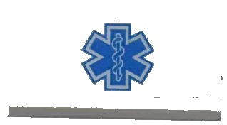LEGO onderdeel Tile 1 x 2 with Blue EMT Star of Life Pattern (Sticker) - Set 4431 (3069pb0215)