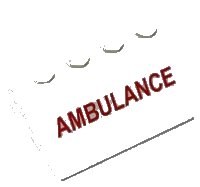 LEGO part Slope 33 3 x 4 with Red 'AMBULANCE' Pattern (Sticker) - Set 4431 3297pb026