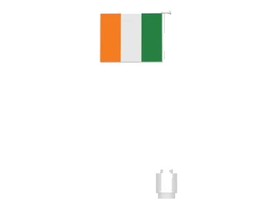 LEGO onderdeel Flag on Flagpole, Straight with Ireland Pattern (Stickers) (3596pb30)