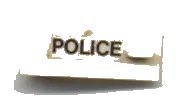 LEGO onderdeel Door 1 x 3 x 1 Left with 'POLICE' Pattern (Sticker) - Set 6681 (3822pb018)
