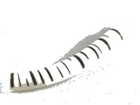 LEGO onderdeel Dinosaur Tail / Neck Middle Section with Pin with Dark Bluish Gray Stripes Pattern (Aspen Tree) 40378pb01