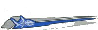 LEGO part Wedge 12 x 3 Right with Shark Skeleton and Blue/Silver Stripes Pattern 42060pb02