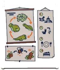 LEGO part Glass for Window 1 x 6 x 6 Flat Front with Lime and Yellowish Green Frogspawn, Tadpoles and Frog Life Cycle with Orange Arrows, Flowers, Bee and Black Daily Plan Pictures Pattern 42509pb09