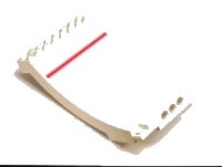 LEGO part Sports Arena Section / Skateboard Ramp with Red Stripe Pattern (Sticker) - Set 3536 43085pb02