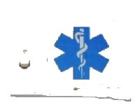 LEGO part Container, Cupboard 2 x 3 x 2 Door with EMT Star of Life to Right of Handle Pattern (Sticker) - Sets 7726 / 7902 4533pb007R
