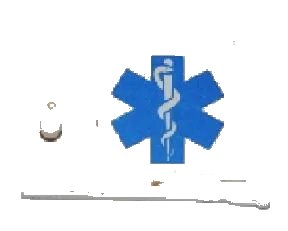 LEGO onderdeel Container, Cupboard 2 x 3 x 2 Door with EMT Star of Life to Right of Handle Pattern (Sticker) - Sets 7726 / 7902 (4533pb007R)
