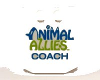 LEGO part Wedge 4 x 4 x 2/3 Triple Curved with Dark Azure / Lime 'ANIMAL ALLIES COACH' Pattern 45677pb096