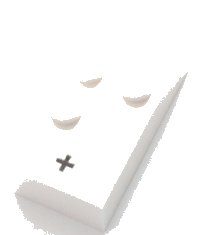 LEGO part Brick, Braille 2 x 4 with 3 Studs with Black Plus Sign (+) Pattern (dots-235 ⠖) 60235pb01