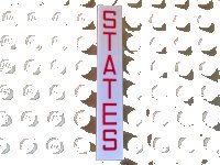 LEGO onderdeel Tile 1 x 6 with Red 'STATES' Pattern 6636pb153
