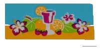 LEGO part Tile 2 x 4 with Drink, Fruits and Flowers Pattern (Sticker) - Set 41008 87079pb0129