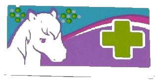 LEGO onderdeel Tile 2 x 4 with White Horse Head and Lime Cross Pattern (Sticker) - Set 3188 (87079pb0132)