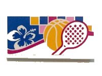 LEGO part Tile 2 x 4 with White and Blue Flower, Basketball and Tennis Racket Pattern (Sticker) - Set 41058 87079pb0315