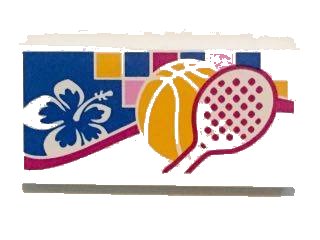 LEGO part Tile 2 x 4 with White and Blue Flower, Basketball and Tennis Racket Pattern (Sticker) - Set 41058 (87079pb0315)