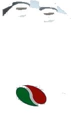 LEGO onderdeel Panel 1 x 2 x 3 with Side Supports - Hollow Studs with Octan Logo Pattern (Sticker) - Set 60016 (87544pb010)