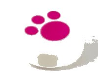 LEGO part Tile, Round 1 x 1 with Magenta Paw Print Pattern 98138pb120