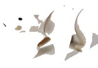 LEGO part Bear with 2 Studs on Back with Black Eyes and Nose Pattern (Polar Bear) 98295c01pb01