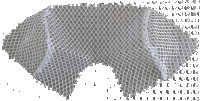 LEGO part Net, String Soccer Goal Enclosed with Cutout x386