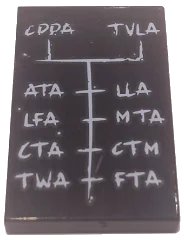 LEGO onderdeel Tile 2 x 3 with White 'CDDA', 'TVLA', 'ATA', 'LLA', 'LFA', 'MTA', 'CTA', 'CTM', 'TWA', and 'FTA' Pattern (26603pb015)