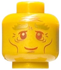 LEGO onderdeel Minifigure, Head Gold Bushy Eyebrows, Reddish Brown Eyes, Eyelids, and Mouth, Copper Cheek Lines, Chin Dimple, and Wrinkles, Grin Pattern - Hollow Stud 3626pb3317