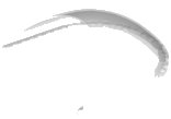 LEGO onderdeel Windscreen 14 x 14 x 4 Curved 73642