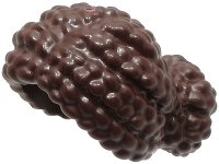 LEGO onderdeel Minifiguur, Haar Vrouw Kort, Gevlochten met Knot Broodje 3532