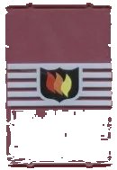 LEGO onderdeel Glass for Window 1 x 4 x 5 with Fire Logo Badge on 5 White Stripes Pattern 2494pb07