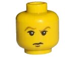 LEGO onderdeel Minifigure, Head Male HP Draco with Brown Eyebrows, White Pupils, Closed Mouth Pattern (3626px95)