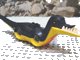 LEGO part Dinosaur Body Pteranodon / Raptor with Black Top and Complementary Bottom Pattern (DAbody1)
