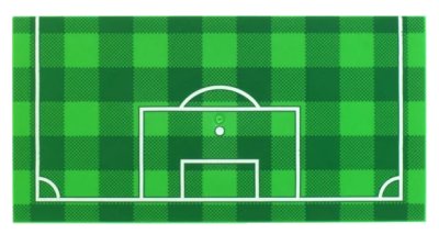 LEGO onderdeel Tile 8 x 16 with Bottom Tubes, Textured Surface with Green and Checkerboard Soccer (Football) Pitch, and White Goal Box and Penalty Area Lines Pattern (90498pb31)