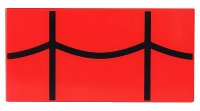 LEGO part Tile 2 x 4 with Black Spider Web Pattern 87079pb1307