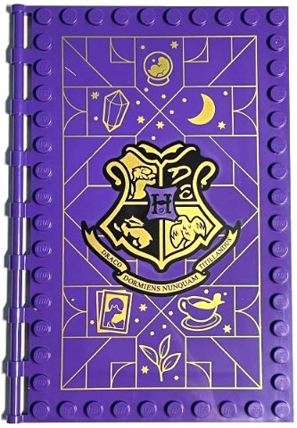 LEGO part Tile, Modified 10 x 16 with Studs on Edges and Bar Handles with Hogwarts Divination Class Pattern (69934pb013)
