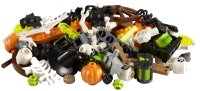 LEGO part Spooky VIP Add On Pack polybag 40513-1