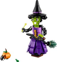 LEGO onderdeel Mystic Witch 40562-1