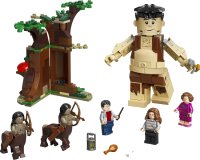 LEGO onderdeel Forbidden Forest: Umbridge's Encounter 75967-1