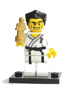 LEGO onderdeel Karate Master, Series 2 (Complete Set with Stand and Accessories) (col02-14)