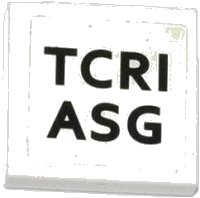 LEGO part Tile 2 x 2 with 'TCRI' and 'ASG' Pattern (Sticker) - Set 79104 3068pb0829