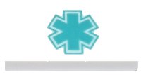 LEGO part Carreau 1 x 2 avec Motif Étoile SMU Turquoise Foncé 3069pb1170