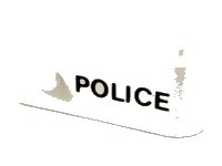 LEGO part Door 1 x 3 x 1 Right with 'POLICE' Pattern 3821pb001