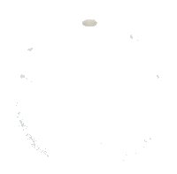 LEGO onderdeel Brick, Round with Indented Top and Cat Ears 5692