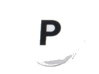 LEGO part Tile, Round 1 x 1 with Black Capital Letter P Pattern 98138pb226